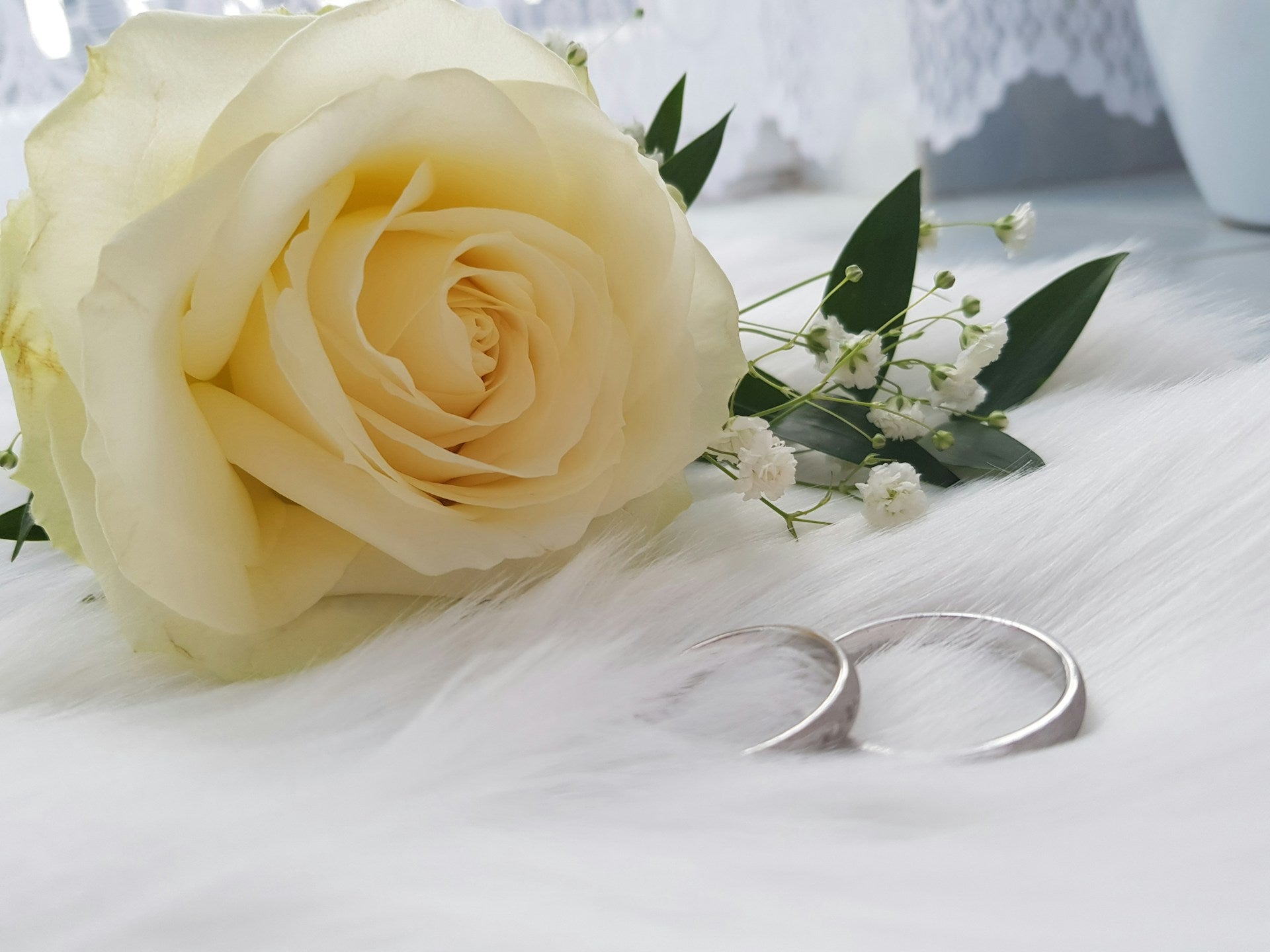 Platinum D Shape Wedding Bands